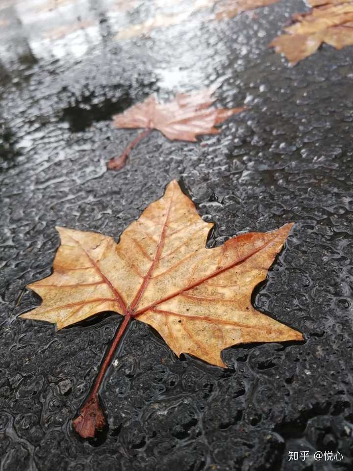 你的手机里有哪些自己拍的真实的风景照