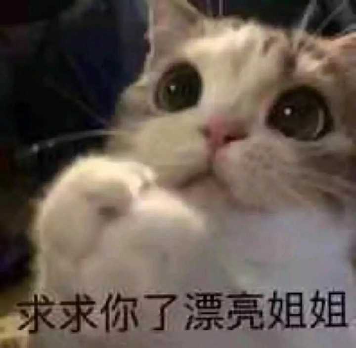 有哪些适合情侣之间的表情包?