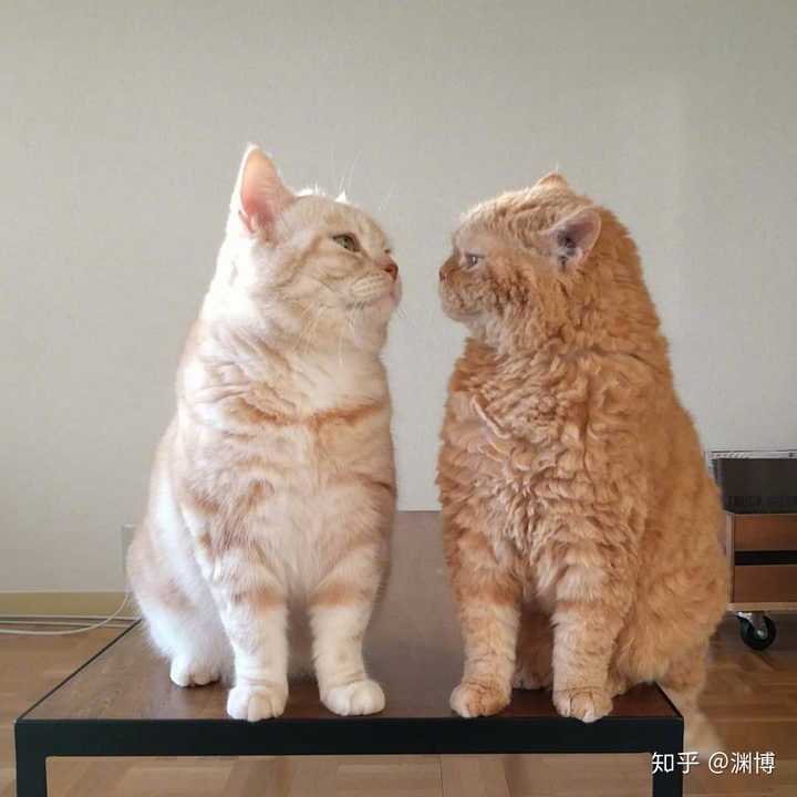 有没有一张你珍存很久的头像?