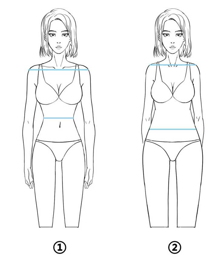①肩比腰宽 ②肩膀与腰同宽 第2步:比较腰部的宽度和胯部的宽度