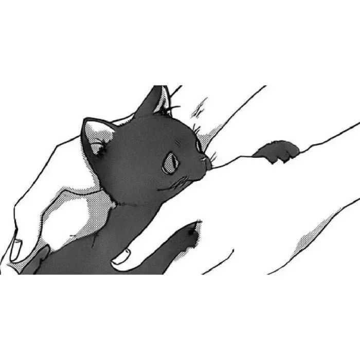 有什么猫狗的情侣头像?