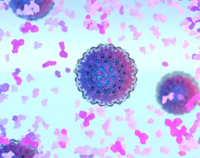 乙型肝炎病毒(hepatitis b virus)