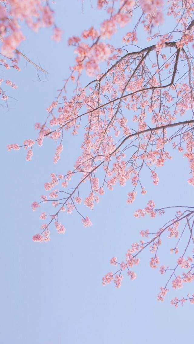 有哪些好的图片适合作qq自定义主题或者微信聊天背景?