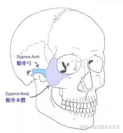 有好的颧骨不必担心老,也不必过于担心表情管理,因为骨头撑得住 表情