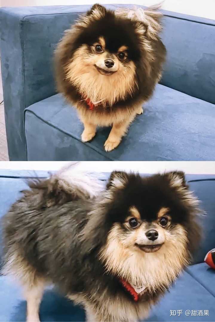 防弹少年团的团宠是谁?