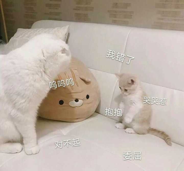 有哪些可以哄女朋友的表情包?