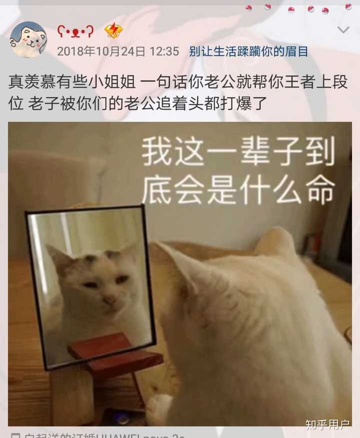 你以前的qq动态发过什么沙雕内容?