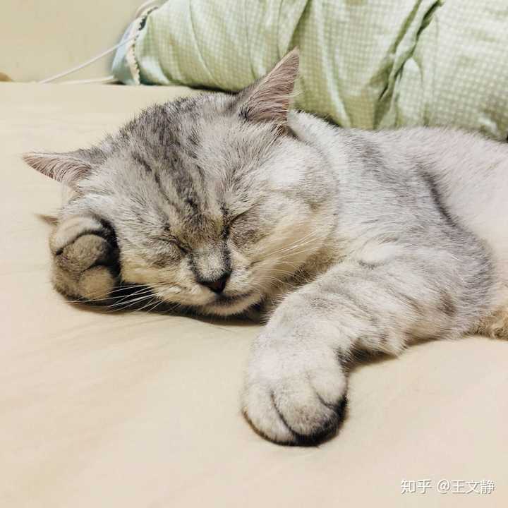 脑阔疼!