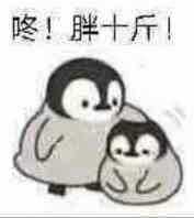 有类似这样小企鹅的表情包吗?
