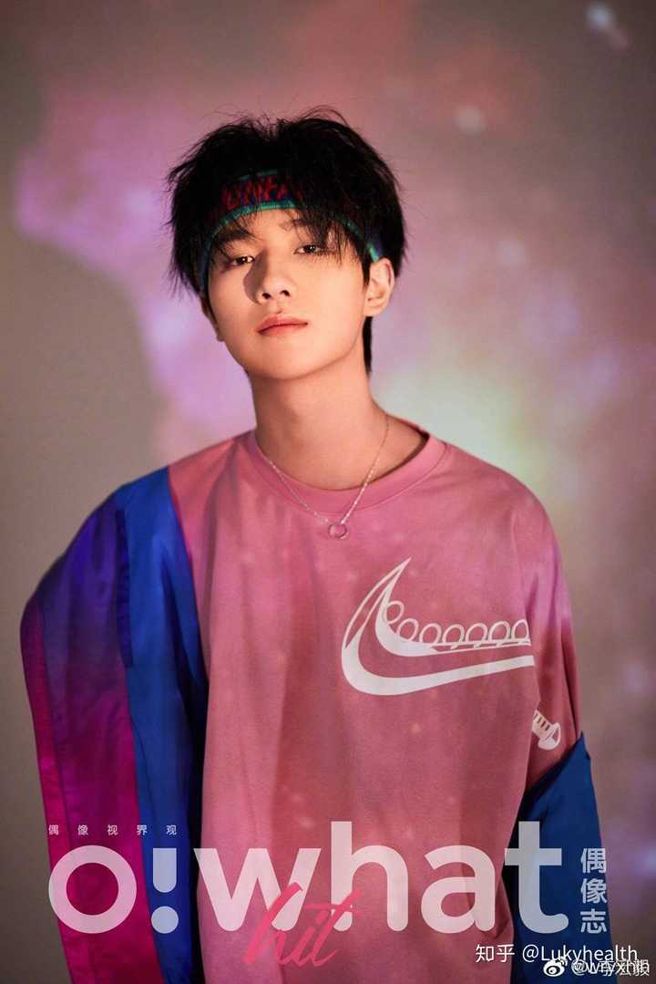 你为什么喜欢李宏毅?
