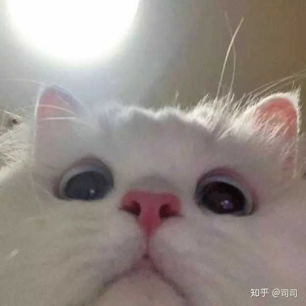 一个小可爱出生了(指我)