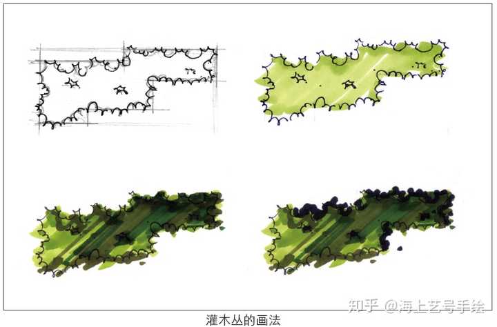 也可以把灌木丛的外轮廓弧线画成与乔木丛相反的方向,即乔木丛画成往