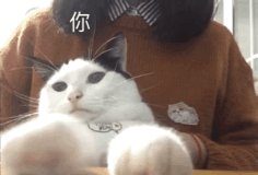 你都存了哪些沙雕表情包?