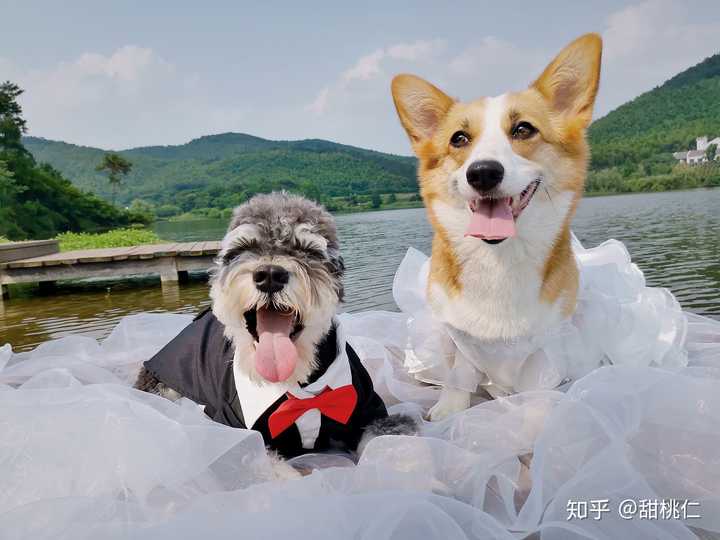 秀恩爱系列