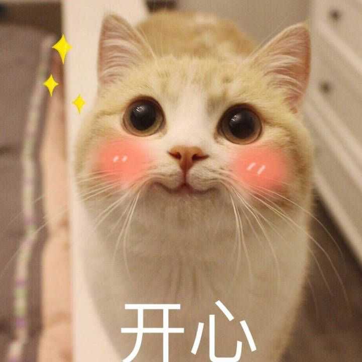 预告一下英语课下课我会再更新一只喵嘿嘿嘿,上课去啦 我来三更啦