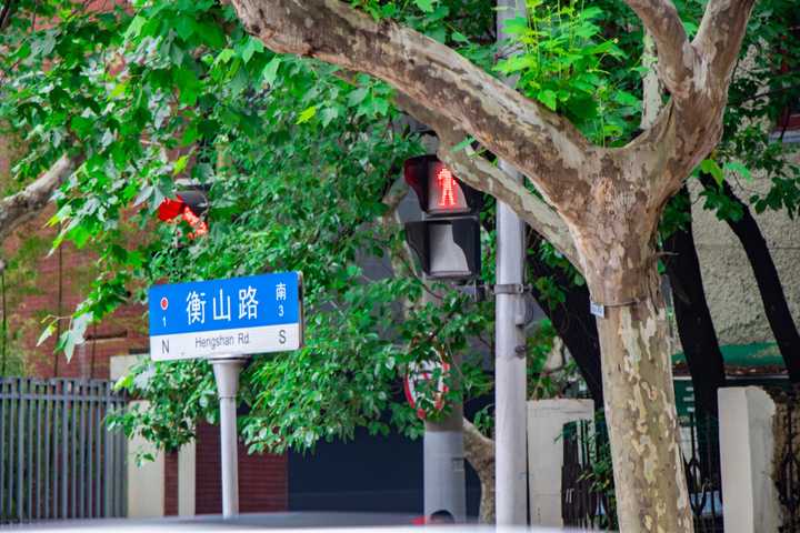 道路两旁是繁茂的法国梧桐,从衡山路到复兴西路这一段路,是法租界,有