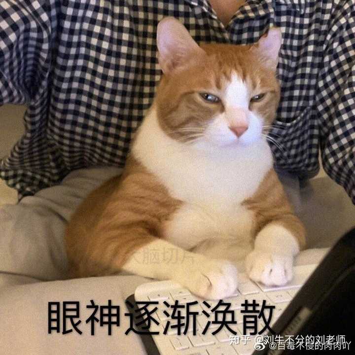 所以暂时将我眼睛闭了起来