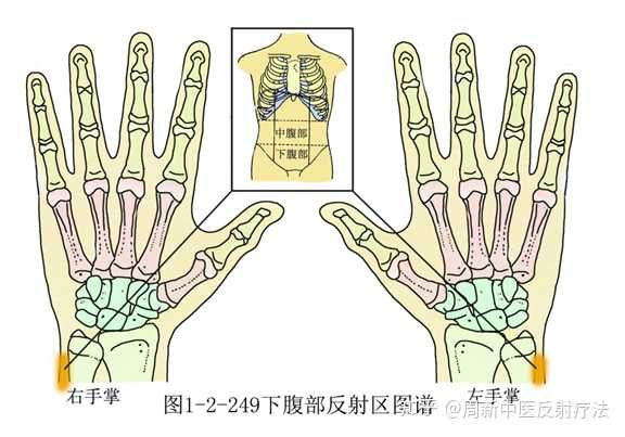 痛经时,揉按下腹部(月经不顺)反射区,立刻缓解痛