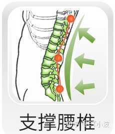 这样,就能使得我们坐着时, 腰椎能保持自然形态;这样我们的腰才好,才