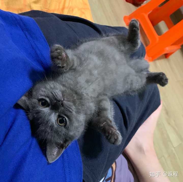 小时候