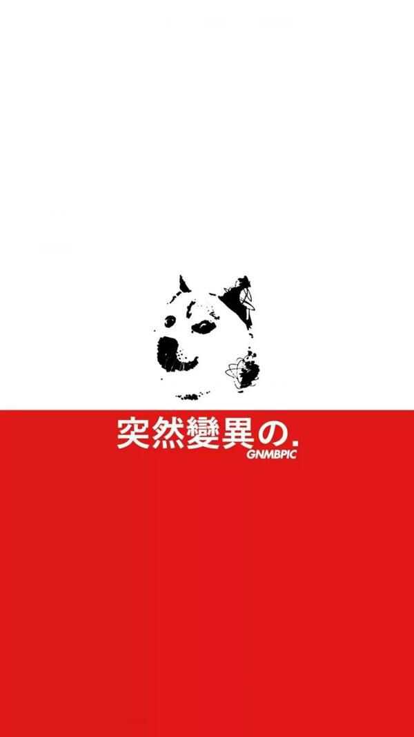 有没有特别沙雕特别好看的壁纸?