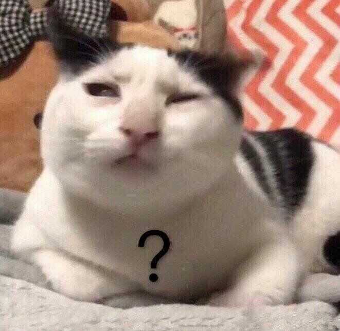 有哪些可爱到哭泣的猫咪图片或者表情包?