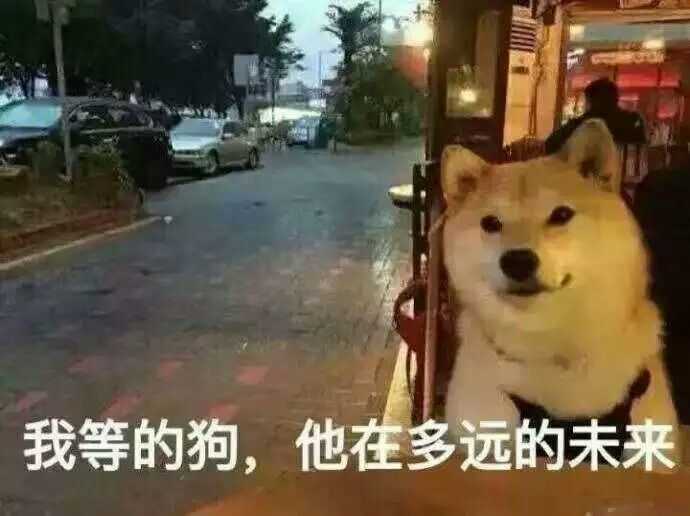 有没有什么好看的能彰显单身狗(别太明显,要疯狂暗示的那种)的微信