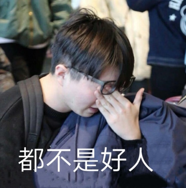 有没有关于毛不易的表情包?