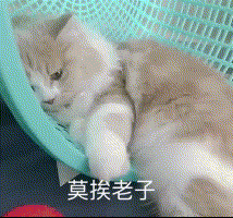 有哪些可以哄男朋友的段子或表情包?