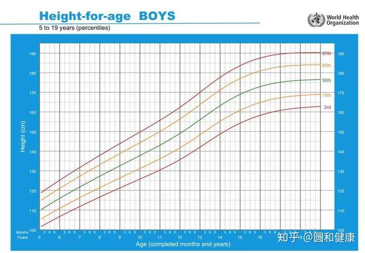 5-19岁男孩年龄别身高百分位曲线图