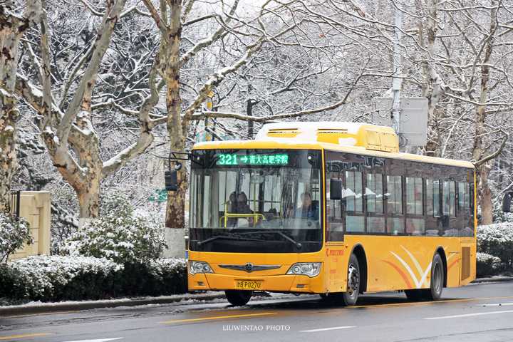 青岛有哪些比较好的公交路线感受青岛不同道路的美景?