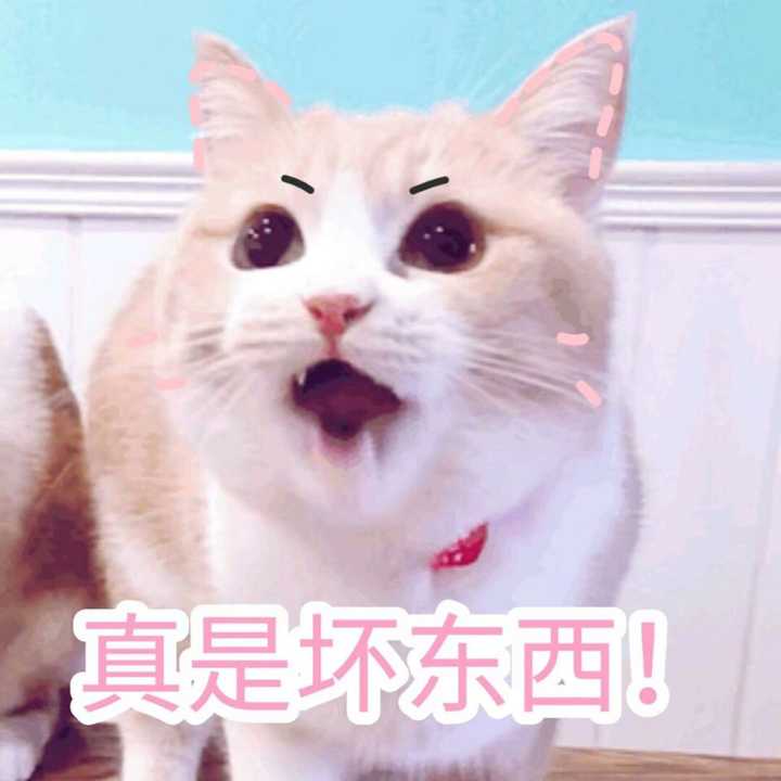 我们笑到抽筋.