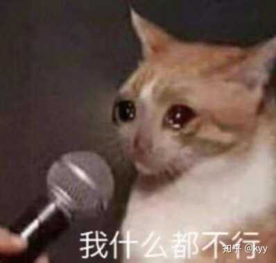 我就没看过你一个头像用过一个星期 说说我是一个怎样的人吧,我换头像