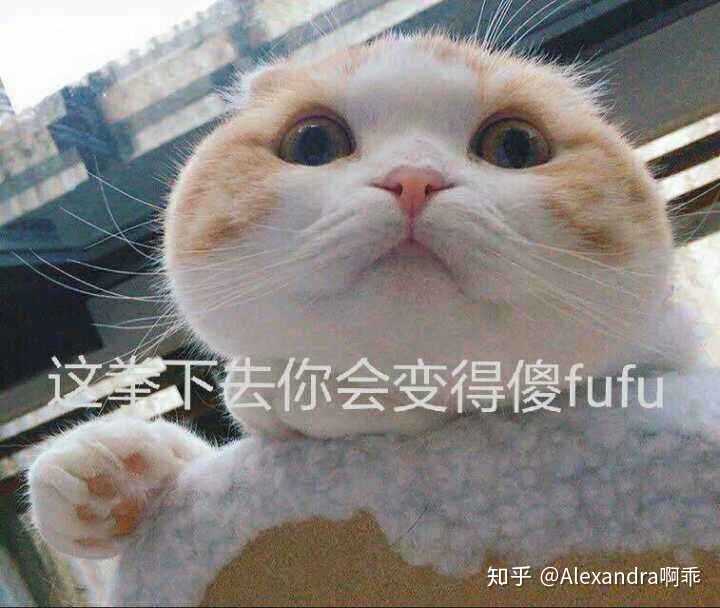 有没有适合与朋友,闺蜜之间的表情包?