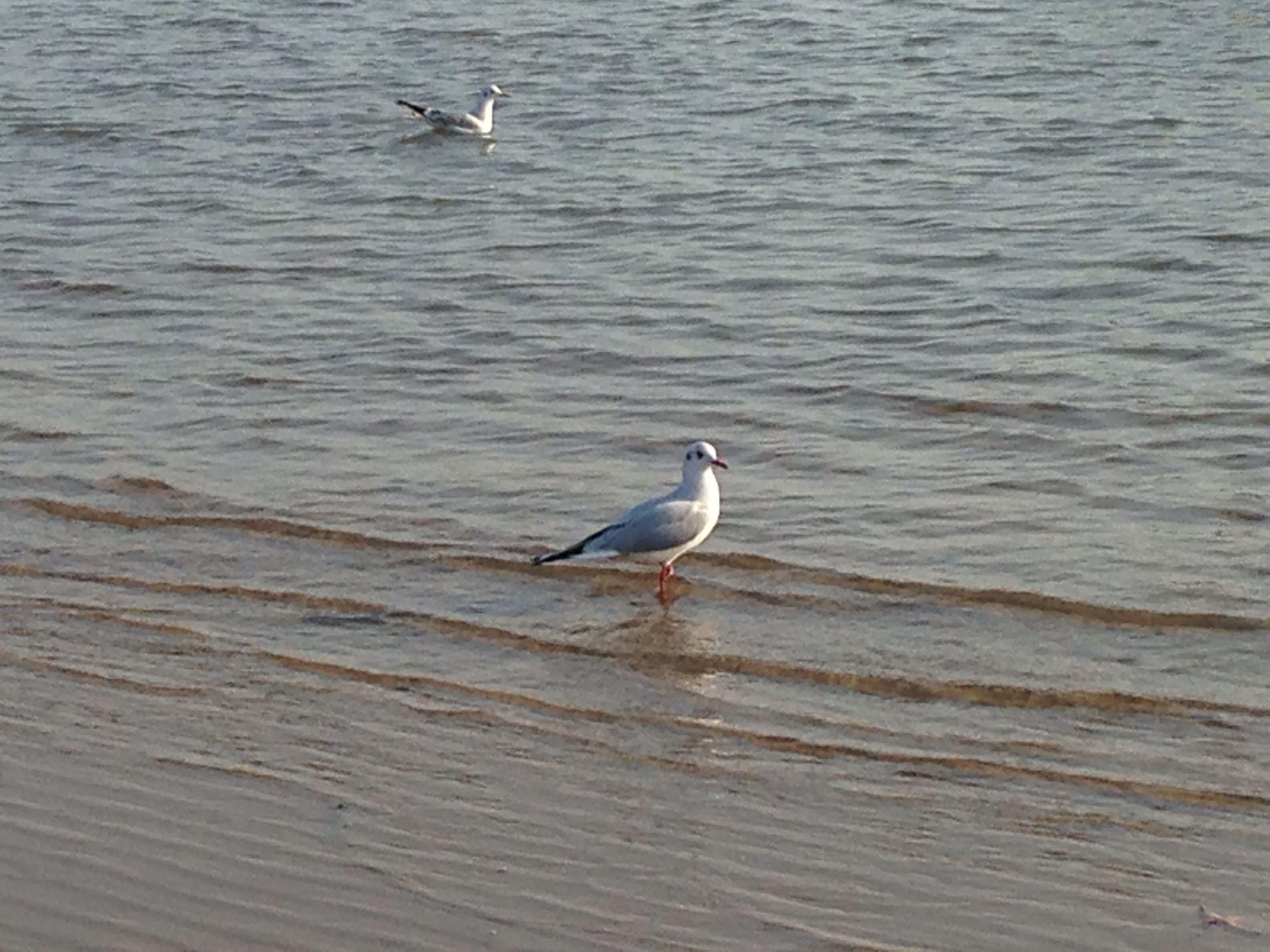 在北京上学五一假期去哪玩比较好? - 莫暄妍的