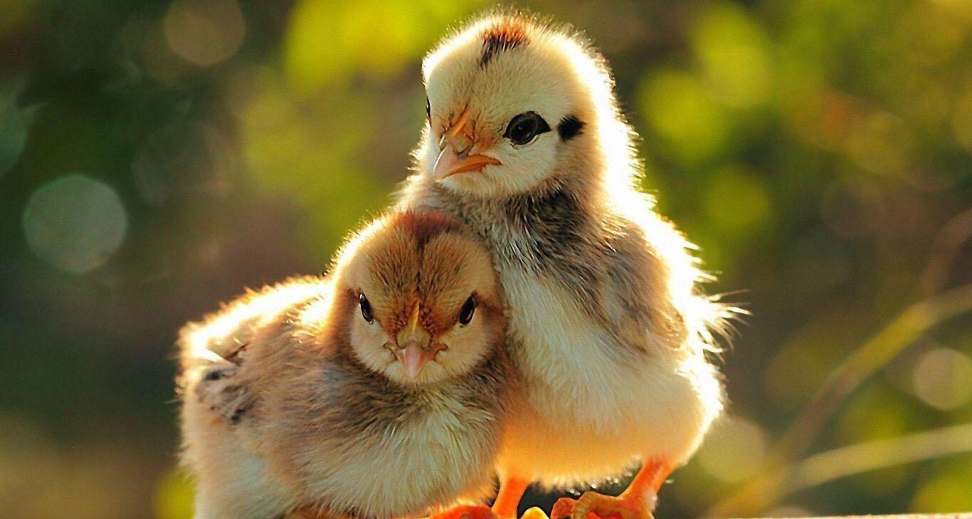 当有人说好无聊啊,最佳的回复是什么? - 钟瑜的