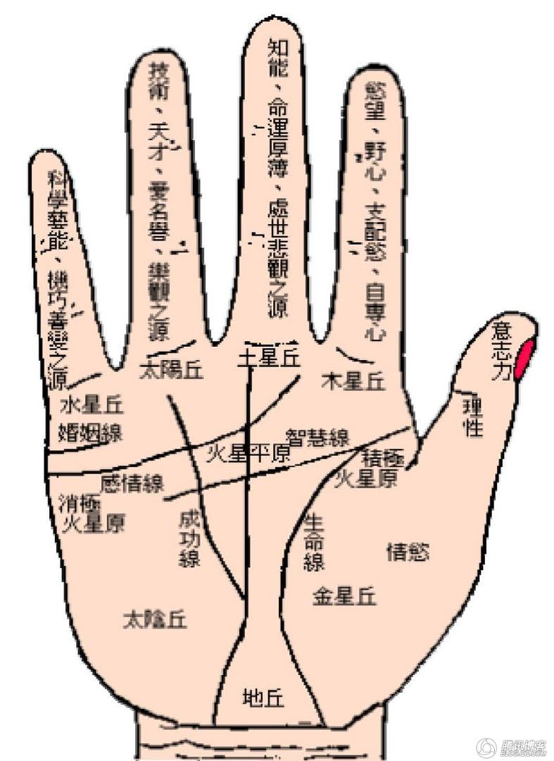 手相有旅行线的人出门不是遇贵人就是结良缘!