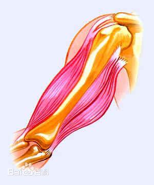 66d6aae9be790fe9eabd2482abb75525_b.jpg