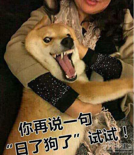 佳文与周鸿祎的公开对话? - 这个手刹不太灵的