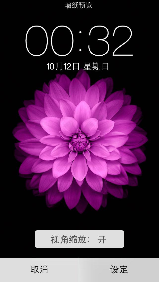 ios8系统增加的自带壁纸都是什么花?