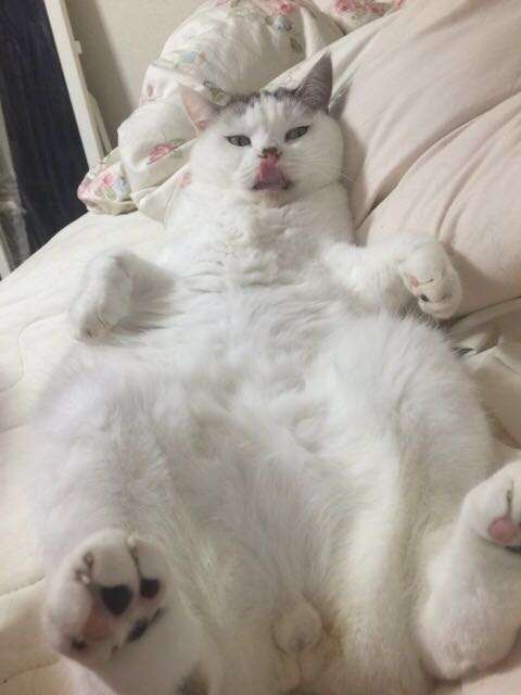 [​IMG]