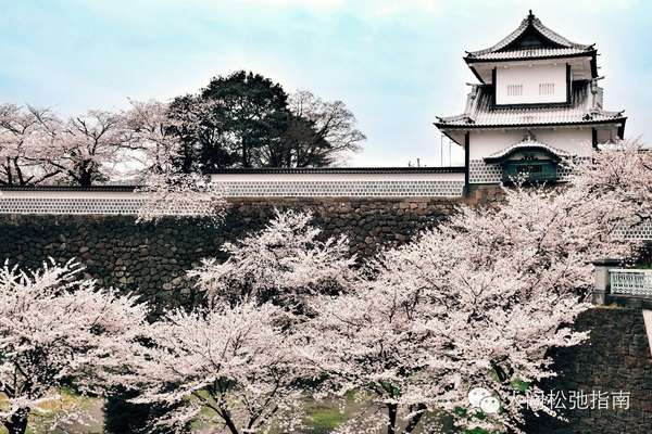 袋帯 新品 本金箔 日本百景 加賀百萬国 兼六園 全通 正絹