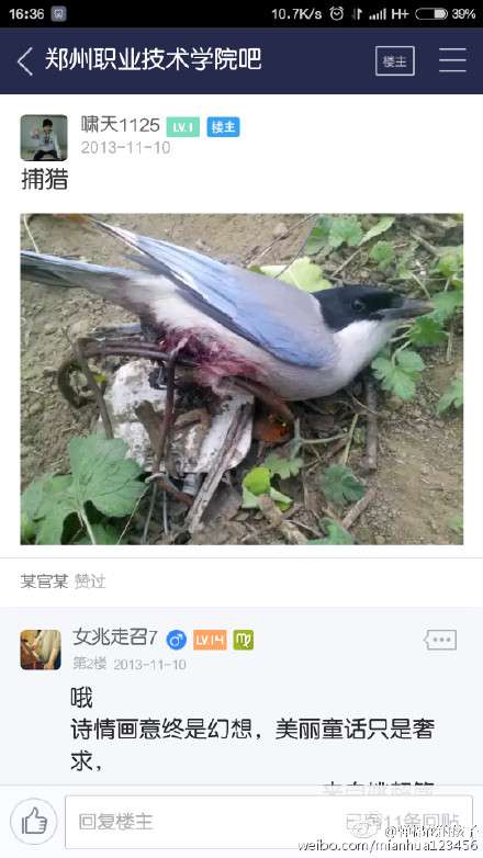 掏家门口的鸟就要判十年半的刑,这位大学生的行为相当