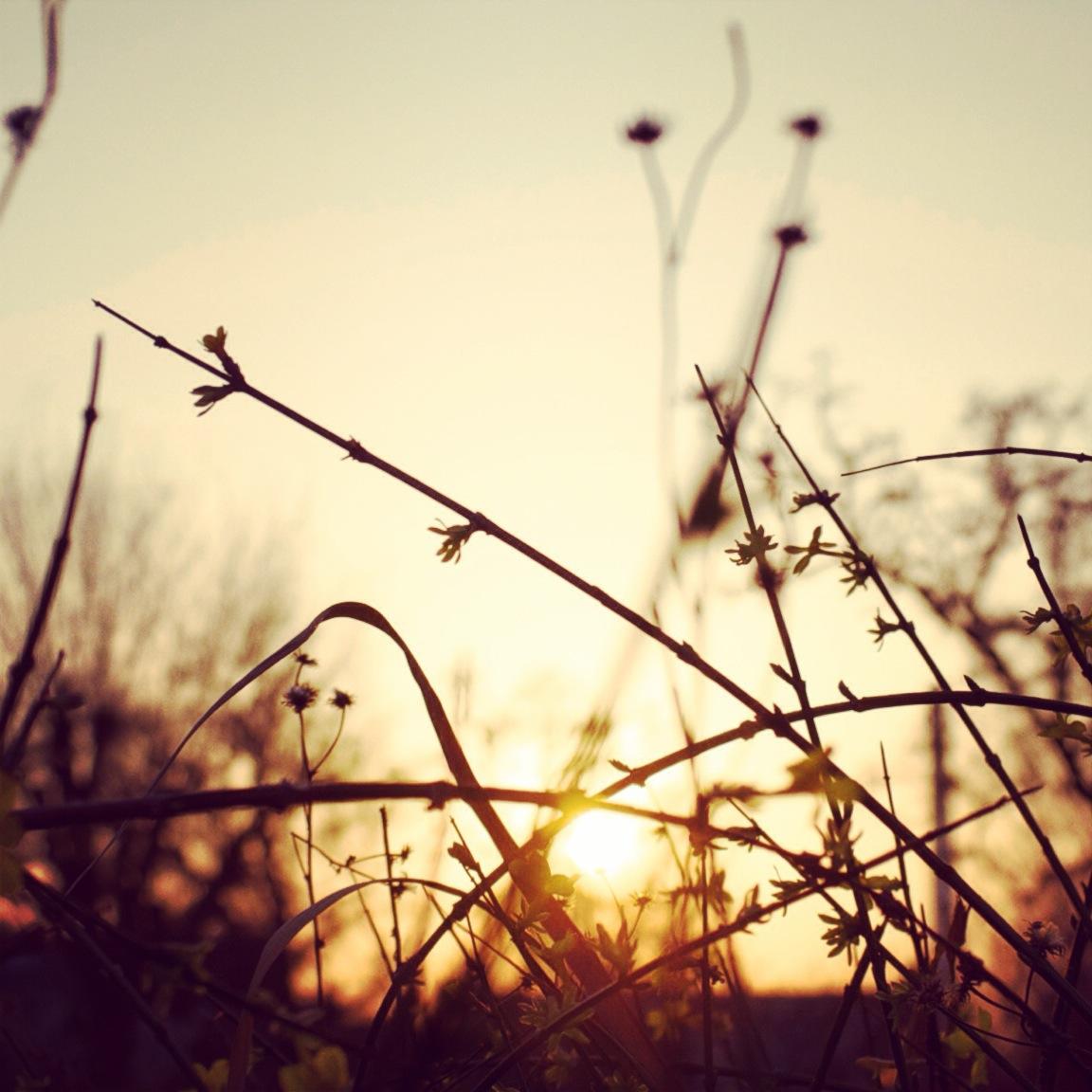 富士x100s怎么样,适合新手用吗,新手要配什么