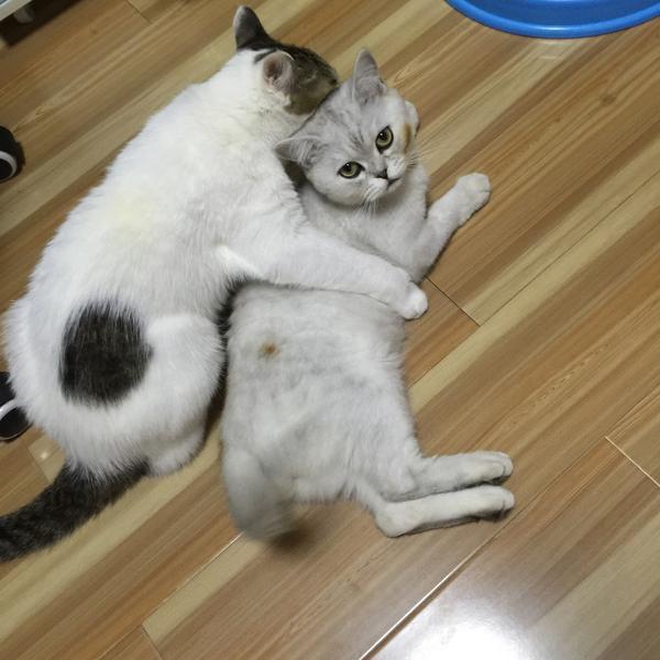 (跟哥混,嘿嘿嘿)