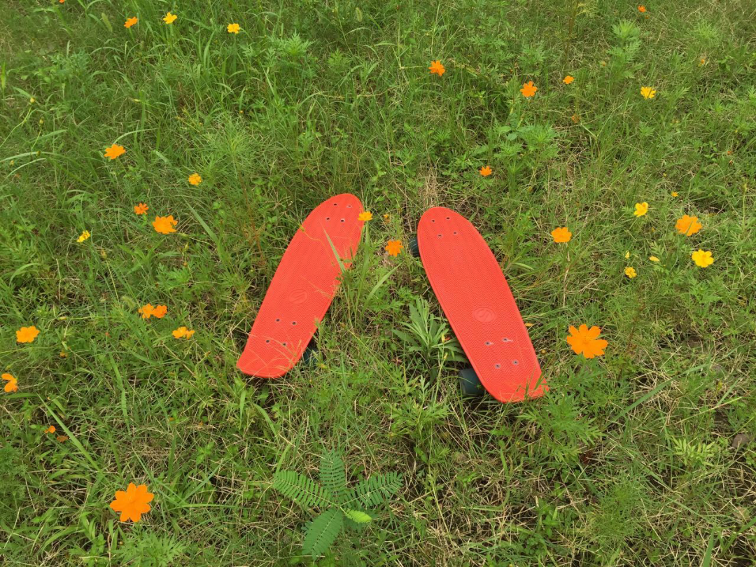 小个子女生如何学滑板? - 滑板