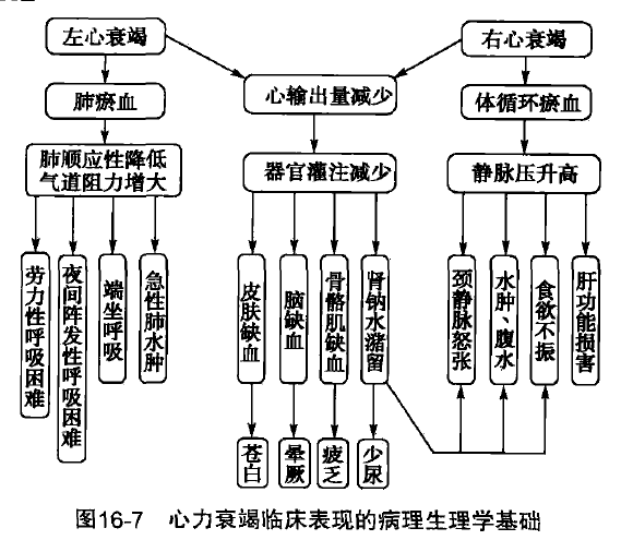 健康