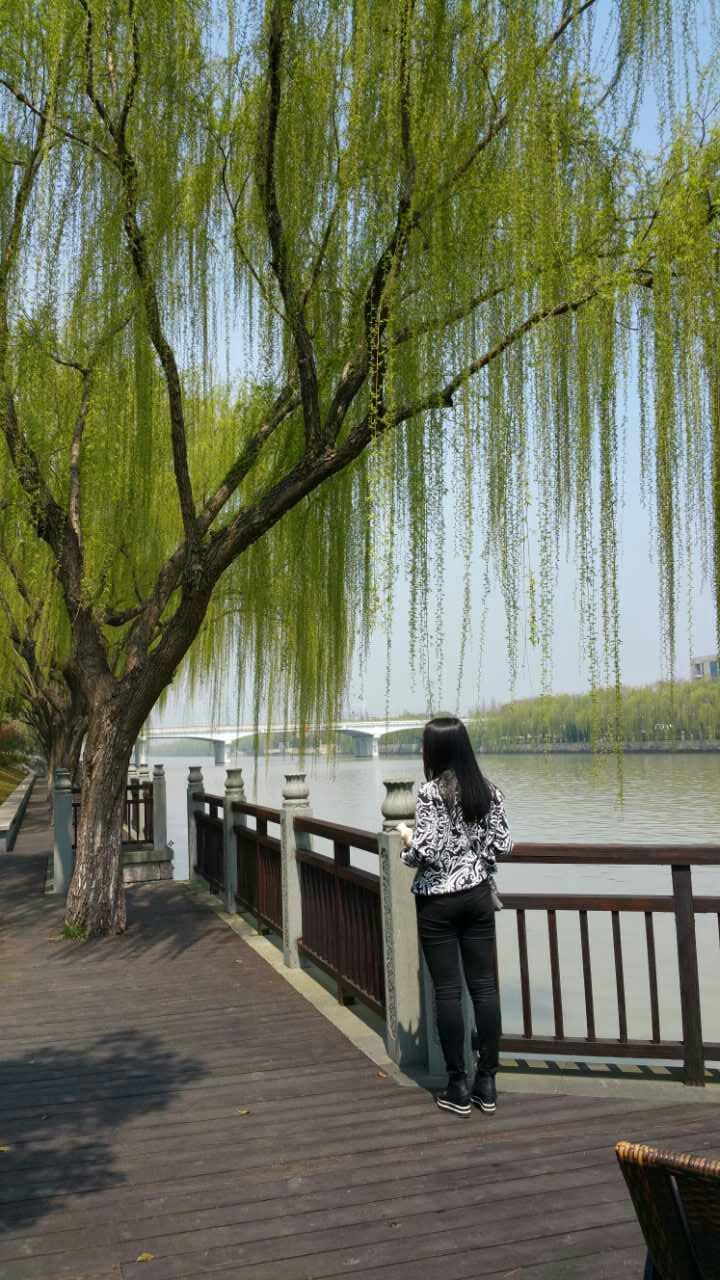 <em>头发</em>干燥并且烫过,<em>沙发</em>特别<em>严重</em>,怎么改善?有