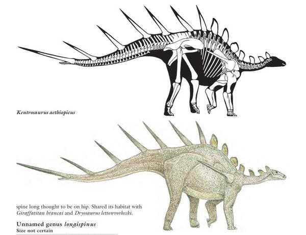 paul绘制 长颈巨龙(giraffatitan),gregory s.