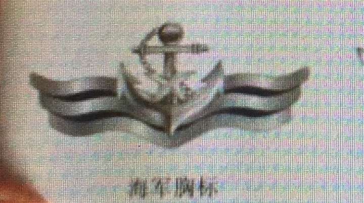 解放军陆军新胸标设计是什么意思